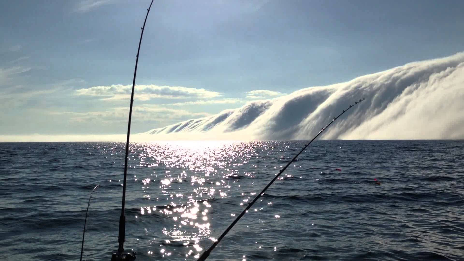 Рыбы в озере мичиган. ЦУНАМИ. Волны гиф. Озеро Мичиган рыбалка. Chopped Waves рыбалка.